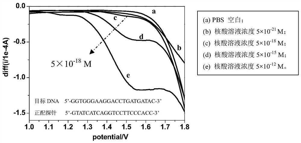 Method and application of rapid detection of nucleic acid based on electrochemical potential pretreatment technology