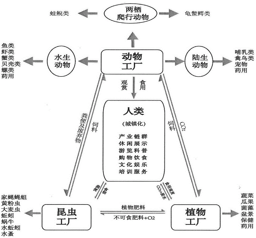 Circular agriculture system and implementation method thereof