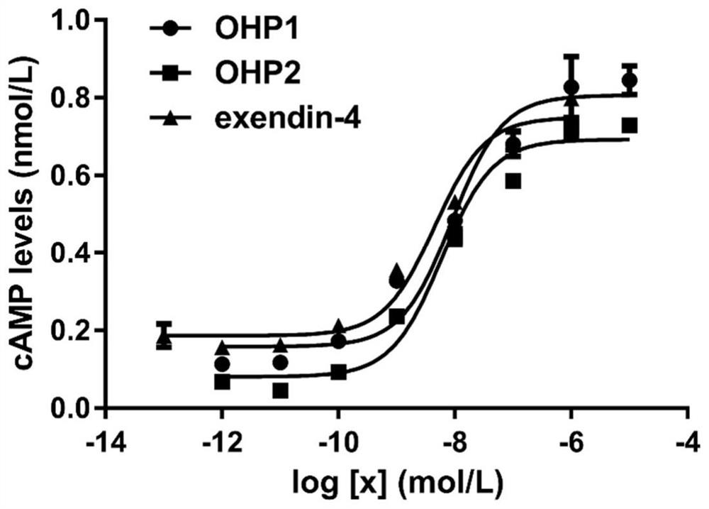 Oral hypoglycemic peptide, its fatty acid derivatives and uses