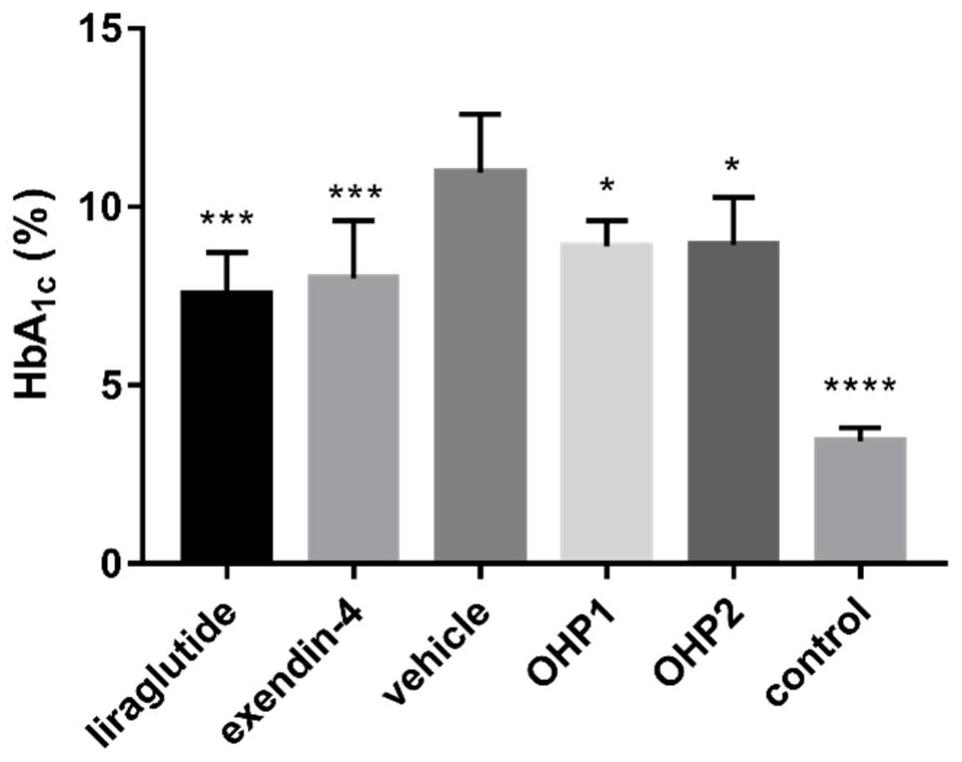 Oral hypoglycemic peptide, its fatty acid derivatives and uses