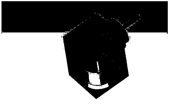 Circularly polarized phased-array antenna unit