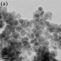 A kind of preparation method of immobilized lipase