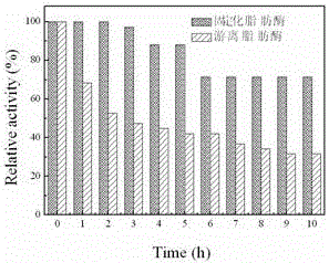 A kind of preparation method of immobilized lipase