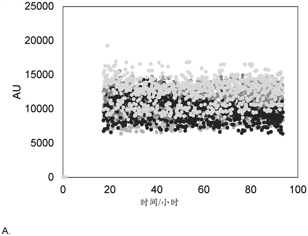 Optimized GIP peptide analogs