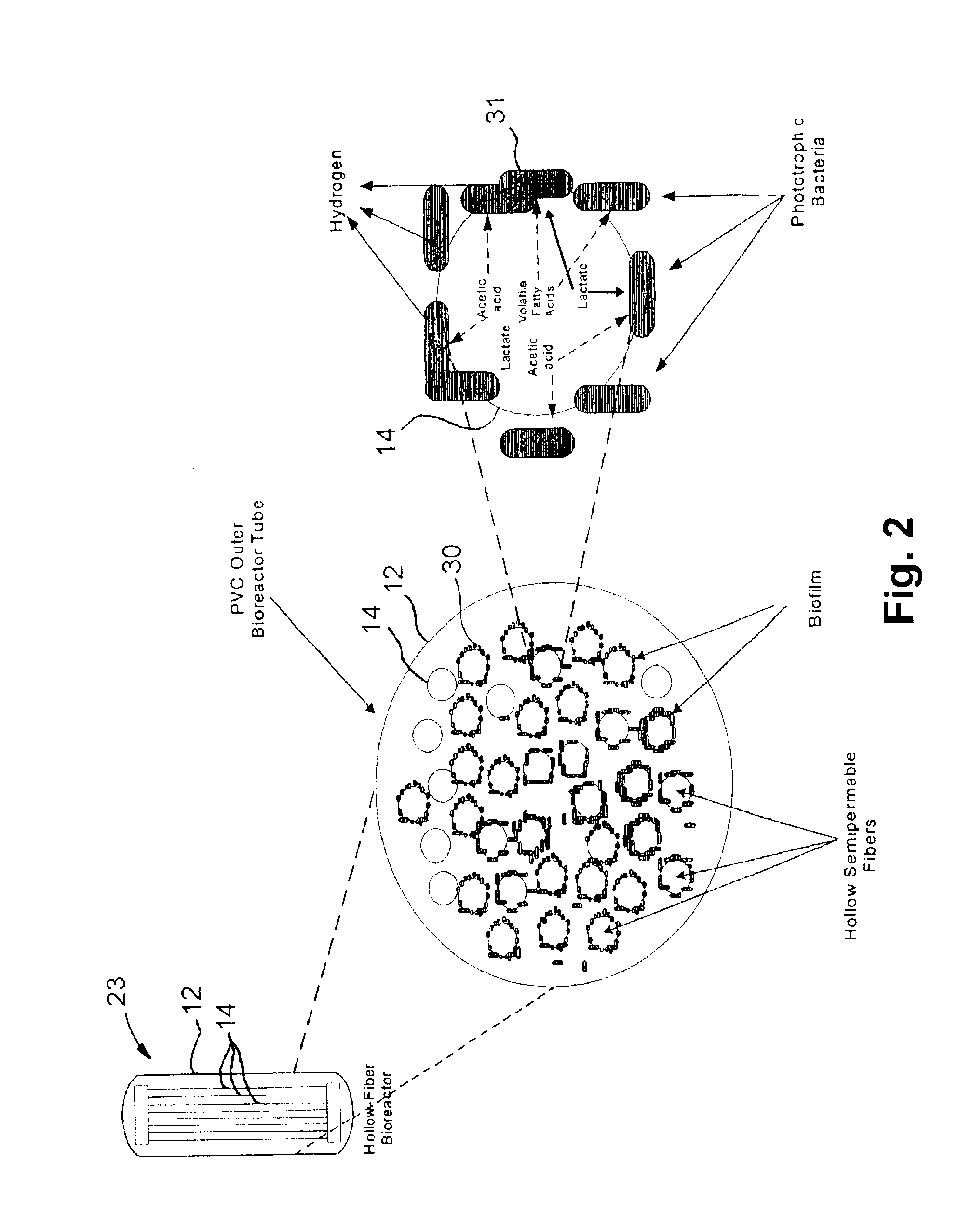 Method and apparatus for hydrogen production from organic wastes and manure