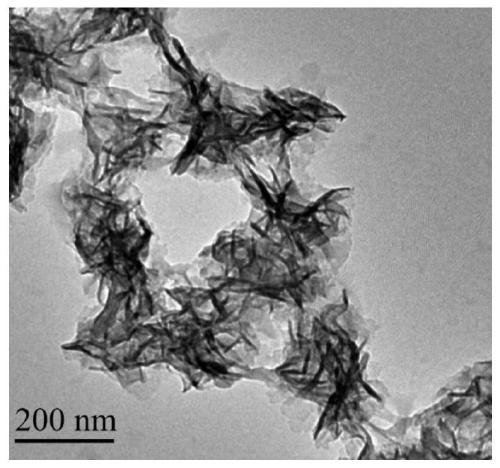 A gene nanoprobe for targeted lung cancer treatment and its preparation method and application