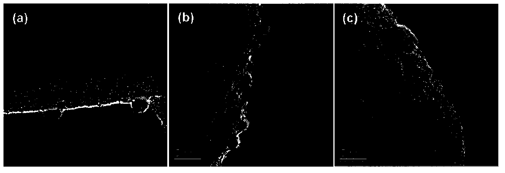 Method for preparing hydrogen CO with concentration by reforming methyl alcohol and biomass derivative in photocatalysis manner