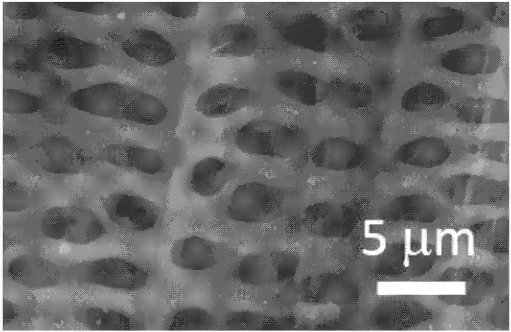 Method for preparing micro-porous carbon-structural electrode material from plant materials and application of micro-porous carbon-structural electrode material