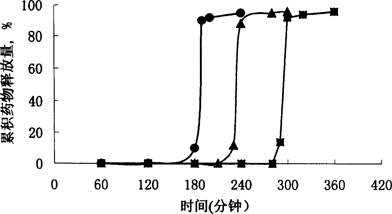 Floating type pulse release capsule in stomach