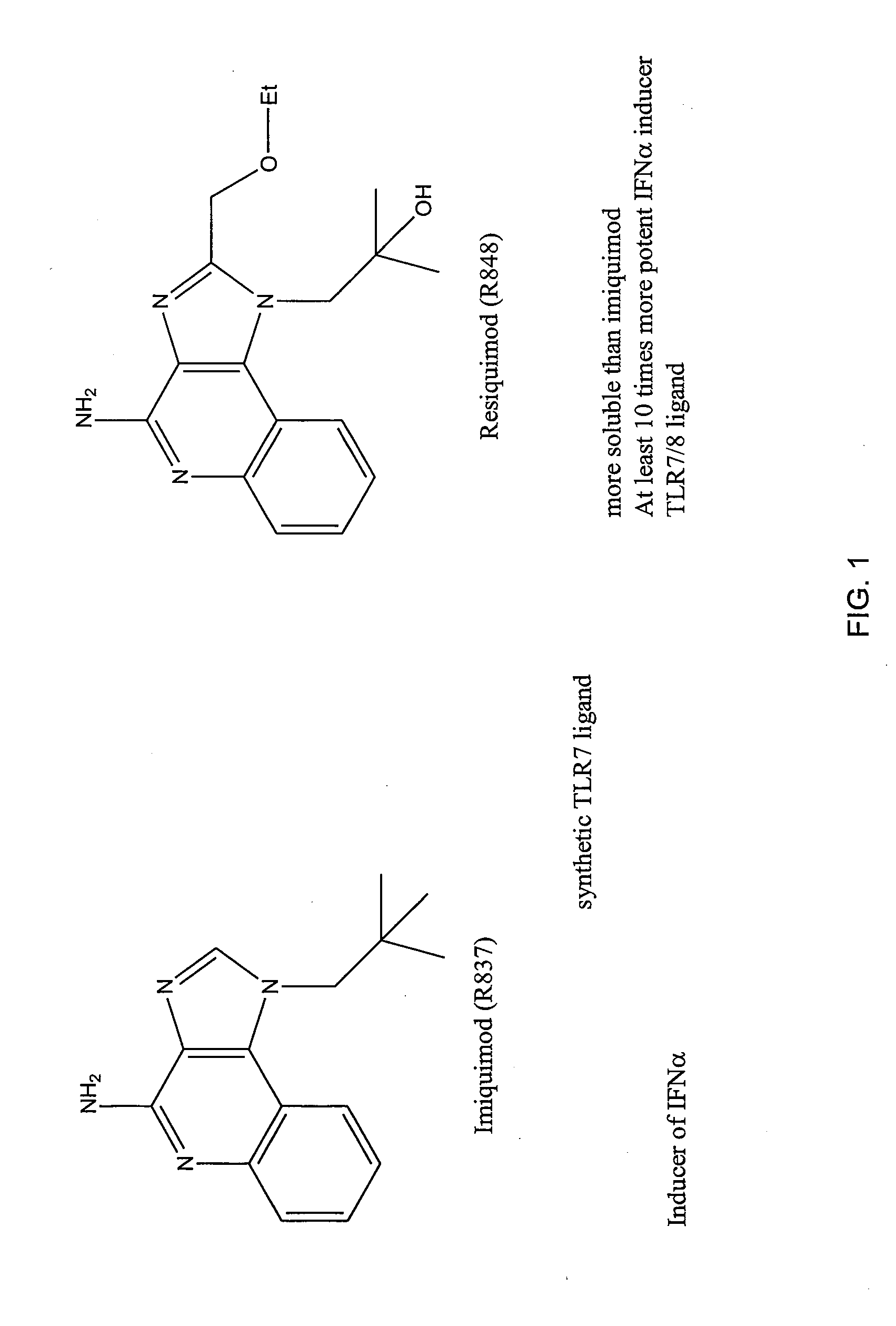 Treatment of bladder diseases with a tlr7 activator