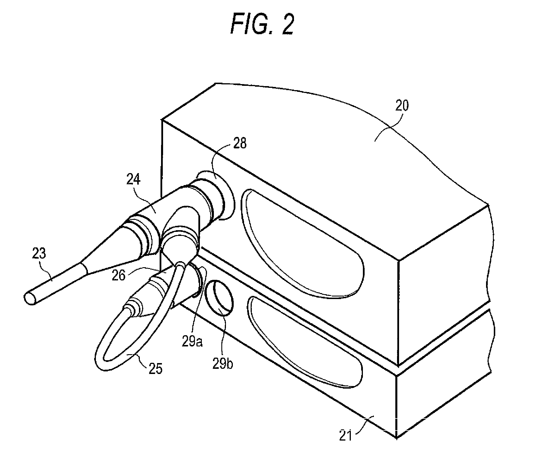 Electronic endoscope apparatus