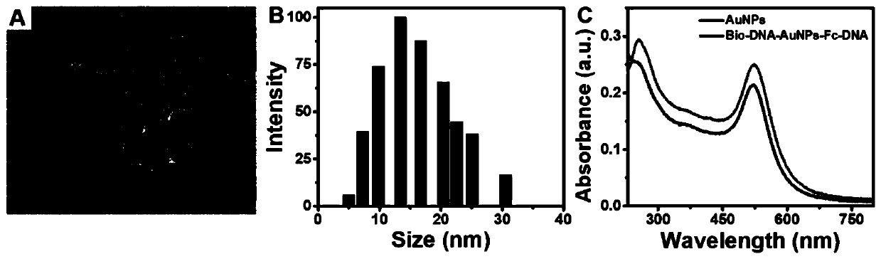 Cell surface glycan in-situ electrogenerated fluorescence imaging analysis method based on a bipolar electrode