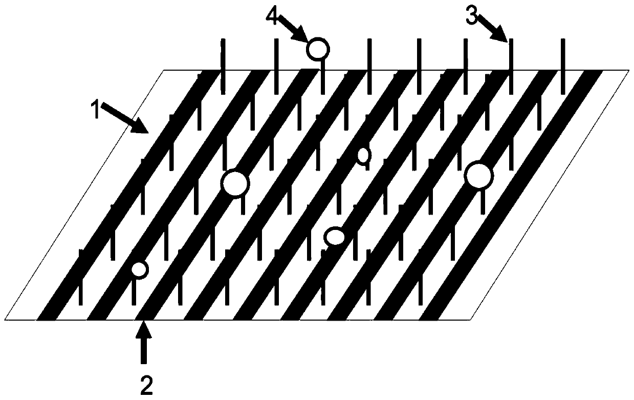 Functional interface for capturing and self-driven directional collection of mist droplets