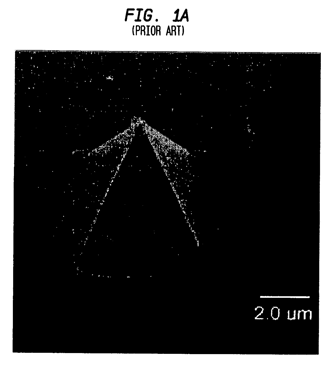 Monolithic high aspect ratio nano-size scanning probe microscope (SPM) tip formed by nanowire growth