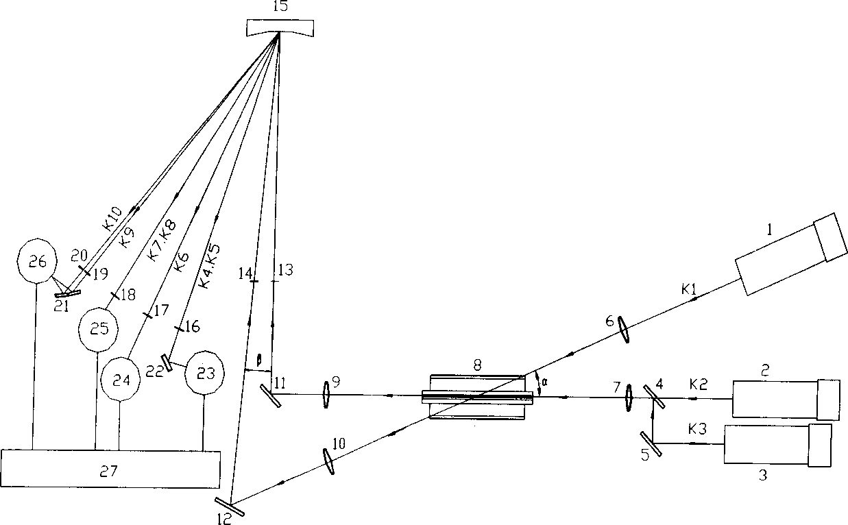 Atom absorption method and apparatus for multi-element simultaneous determination