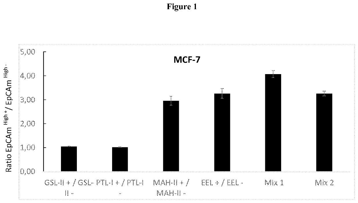 Method for isolating and detecting cancer stem cells