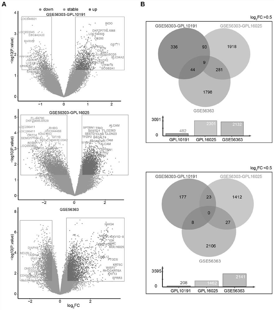 Marker for predicting chemotherapy effect of cervical squamous carcinoma and screening method and application of marker