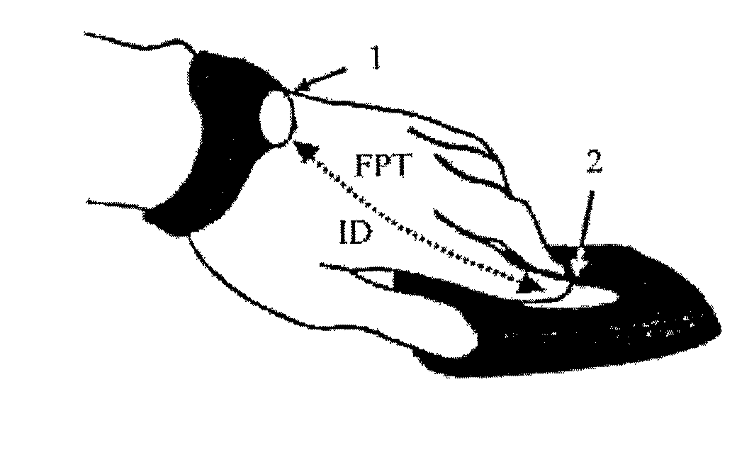 Identification system and method of operating same