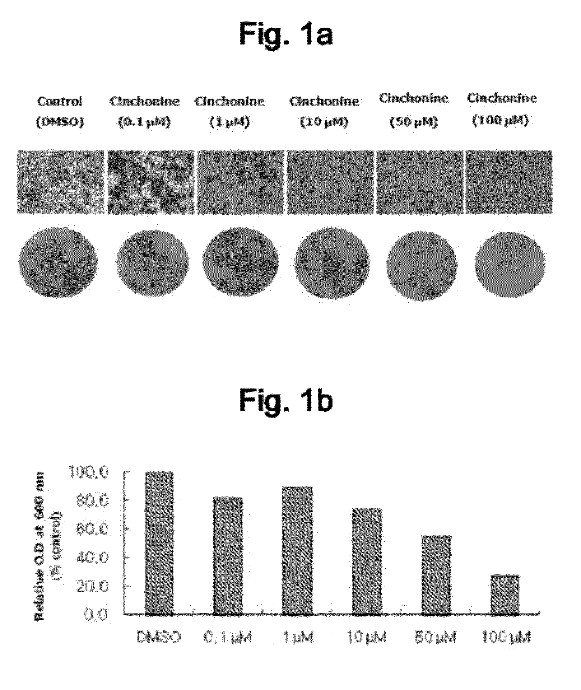 Composition containing cinchonine as an active ingredient for preventing and treating obesity, dyslipidemia, fatty liver, or insulin resistance syndrome