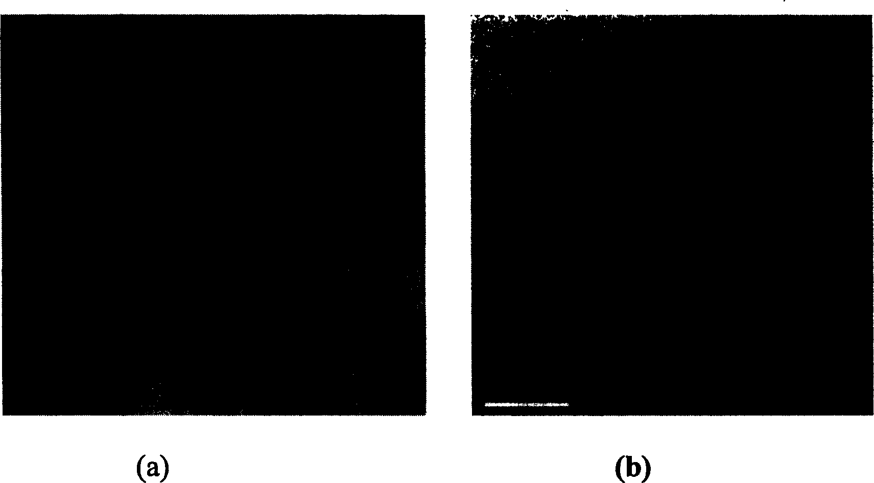 Synthesis of ferromagnetic carbon nanometer tube