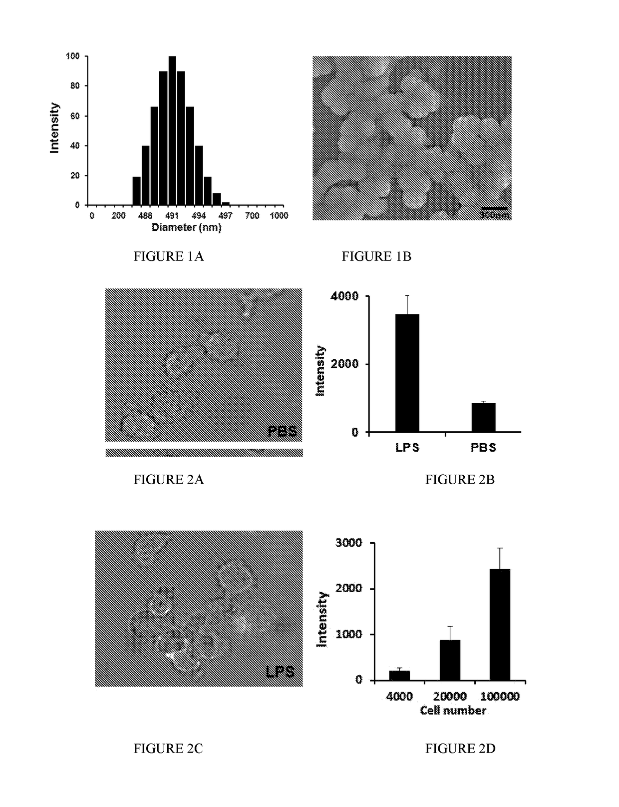 Micro-and nano-device for cartilage injury detection and treatment