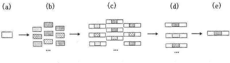 Amplification internal standard preparation based on DNA stochastic shuffling technology