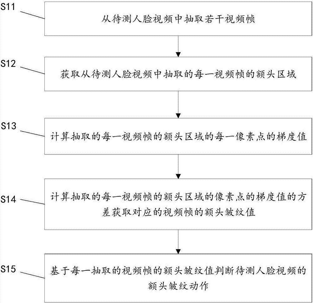 Forehead wrinkle motion detection method and device and living body recognition method and system