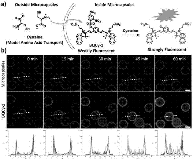 Photochromic monomer, its preparation method, amphiphilic polymer, its preparation method and vesicle and its application