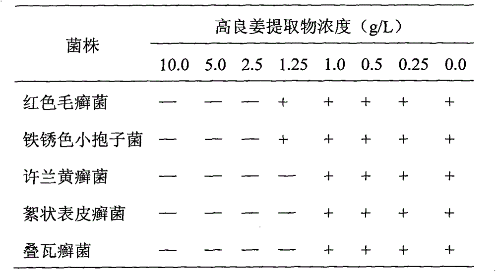 Application of alpinia officinarum extraction product to treating tinea pedis and tinea manuum and preparation method of alpinia officinarum extract product