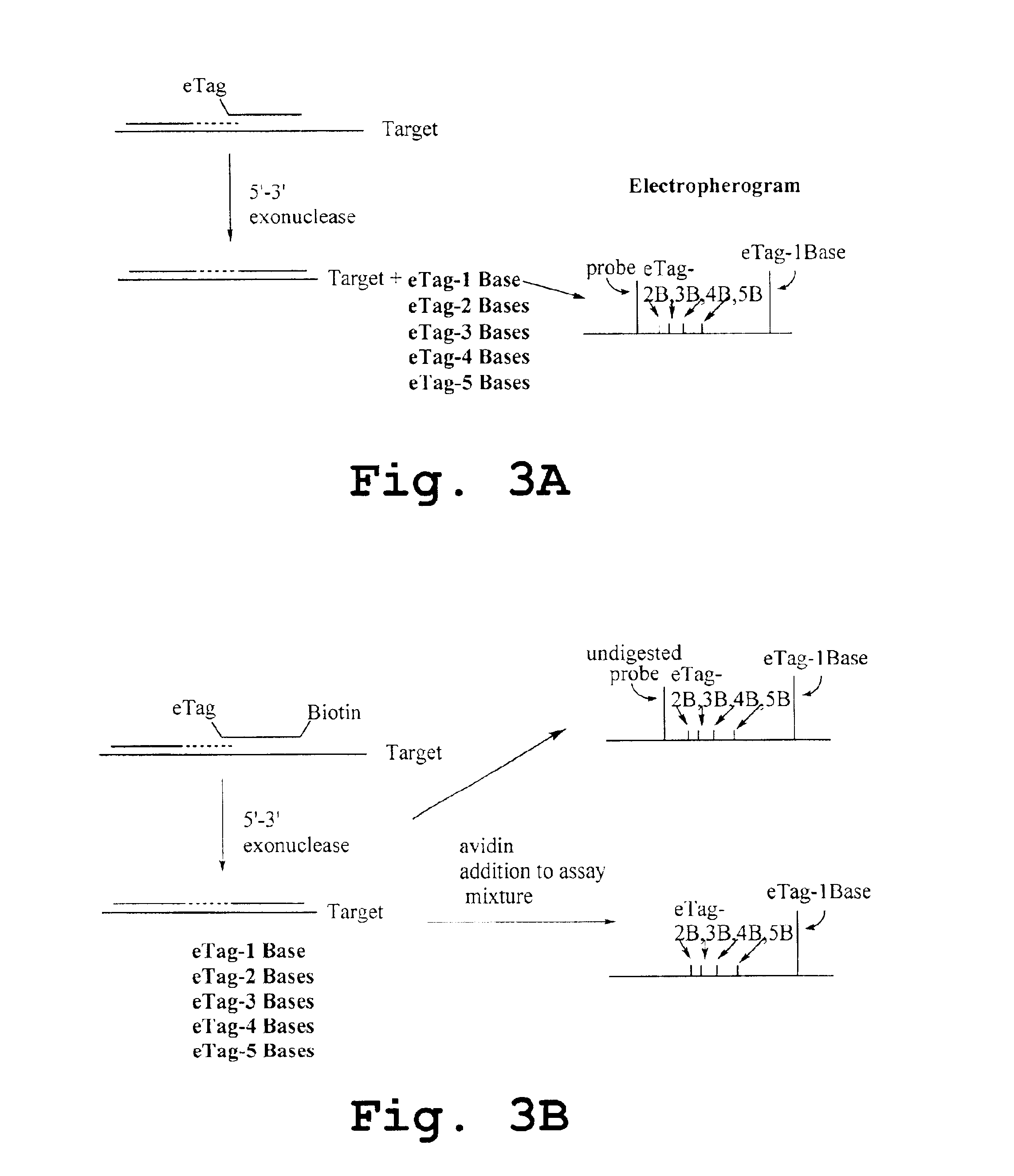 Kits employing generalized target-binding e-tag probes