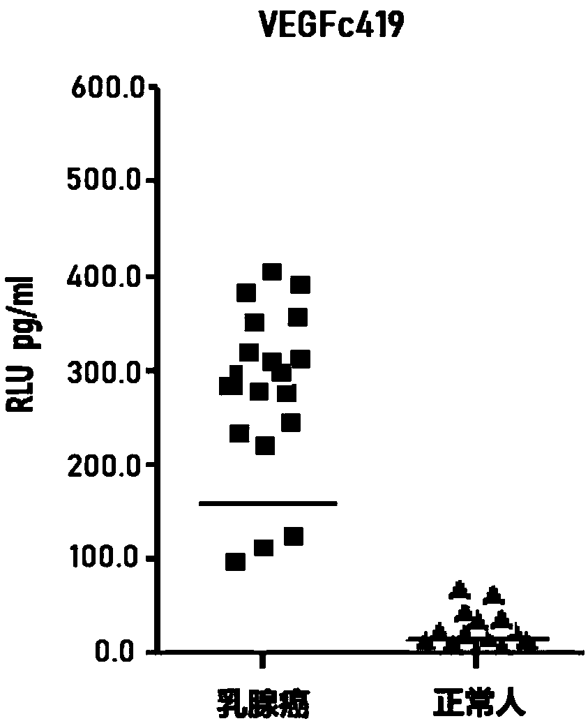 VEGF (vascular endothelial growth factor)-C monoclonal antibody and kit