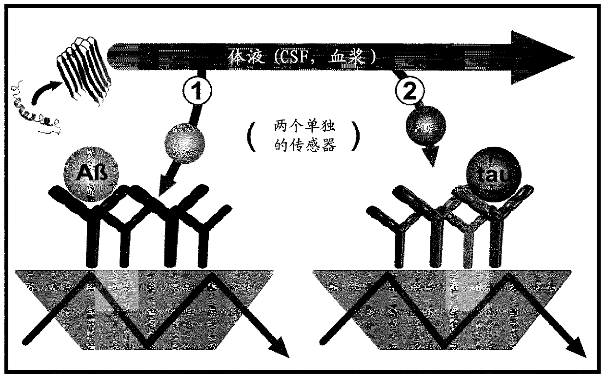 Combined assay for differential diagnosis of alzheimer's disease