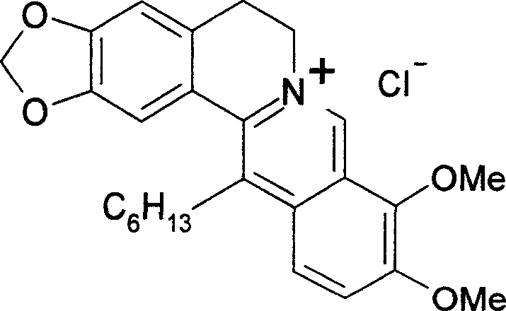 Use of chloride 13-hexyl berberine and chloride 13-hexyl palmatine in preparation of medicine for treating moist tetter, dermatitis and psoriasis