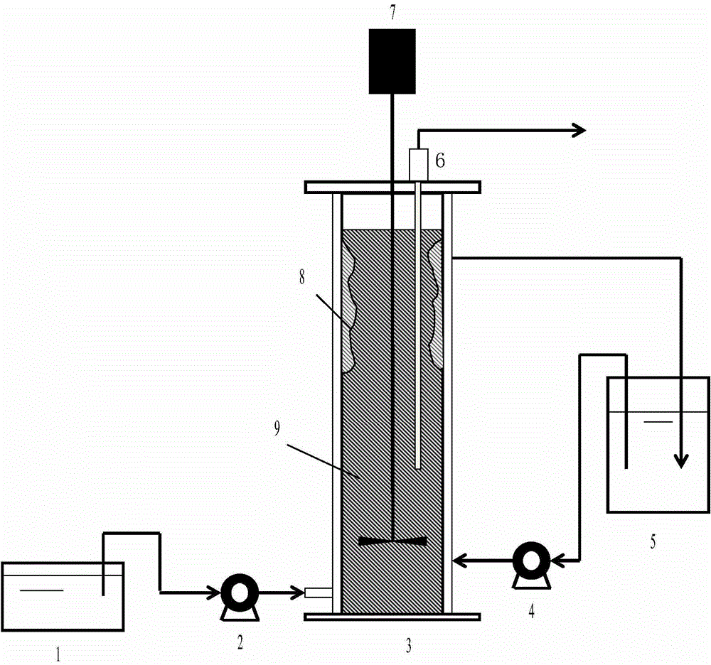 Composite anaerobic ammonia oxidation reaction process and device based on granule sludge and biological films