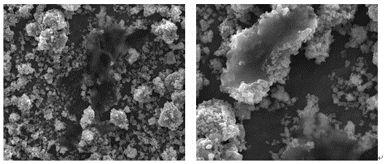 Detection method of carbon-encapsulated material for carbon source