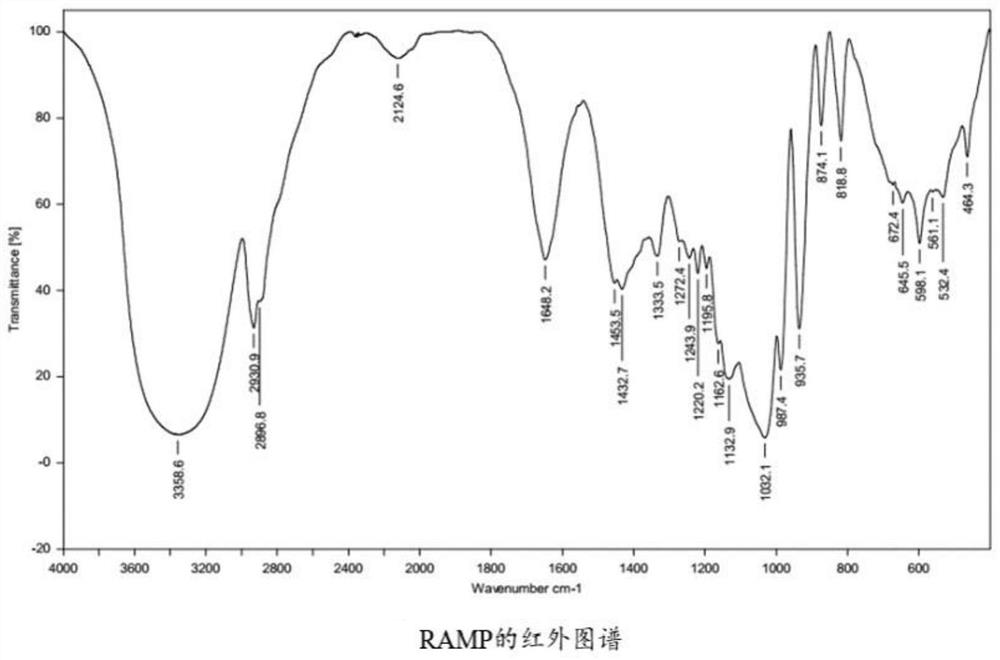 The use of baicalin combined with Atractylodes polysaccharides to up-regulate Treg cells in the treatment of immune recurrent abortion