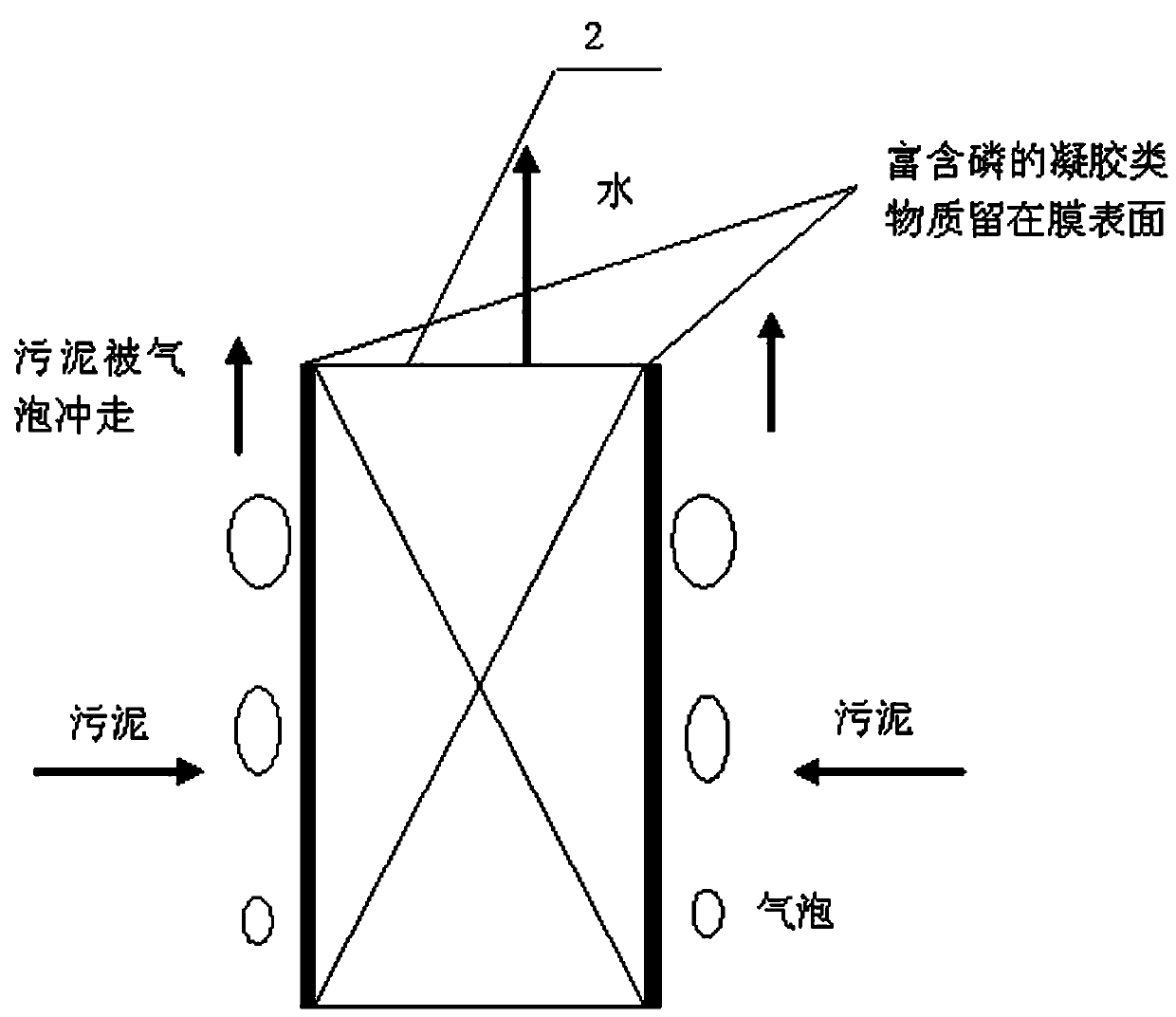 A method and device for enhancing biological phosphorus removal