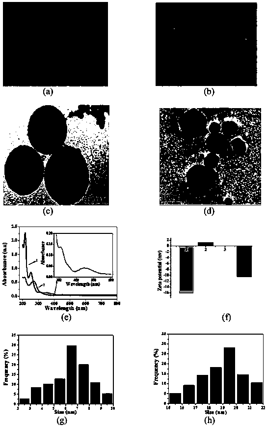 Novel method for determining human chorionic gonadotropin