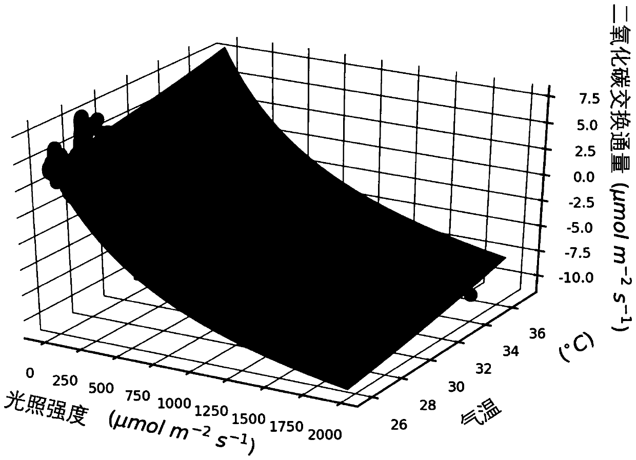 Stepping vorticity covariance observation data processing method