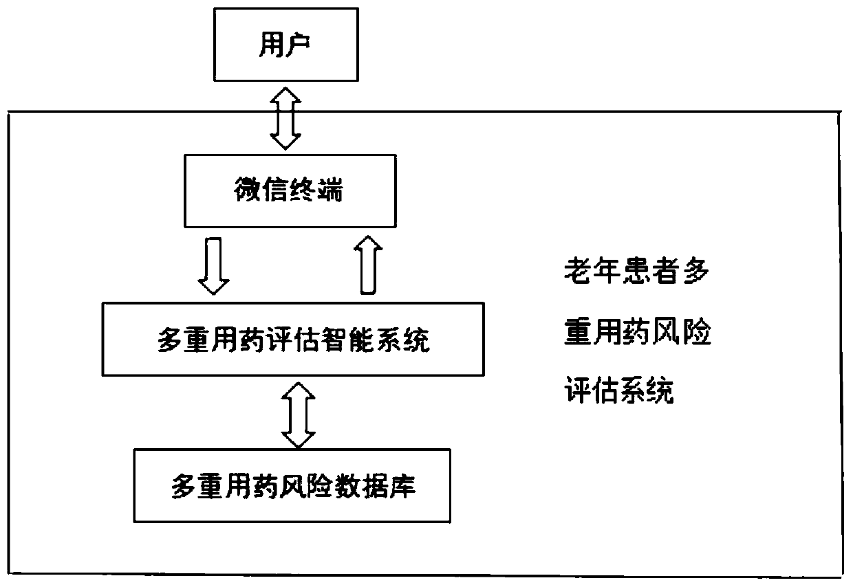 Polypharmacy risk assessment system and method for elderly patients