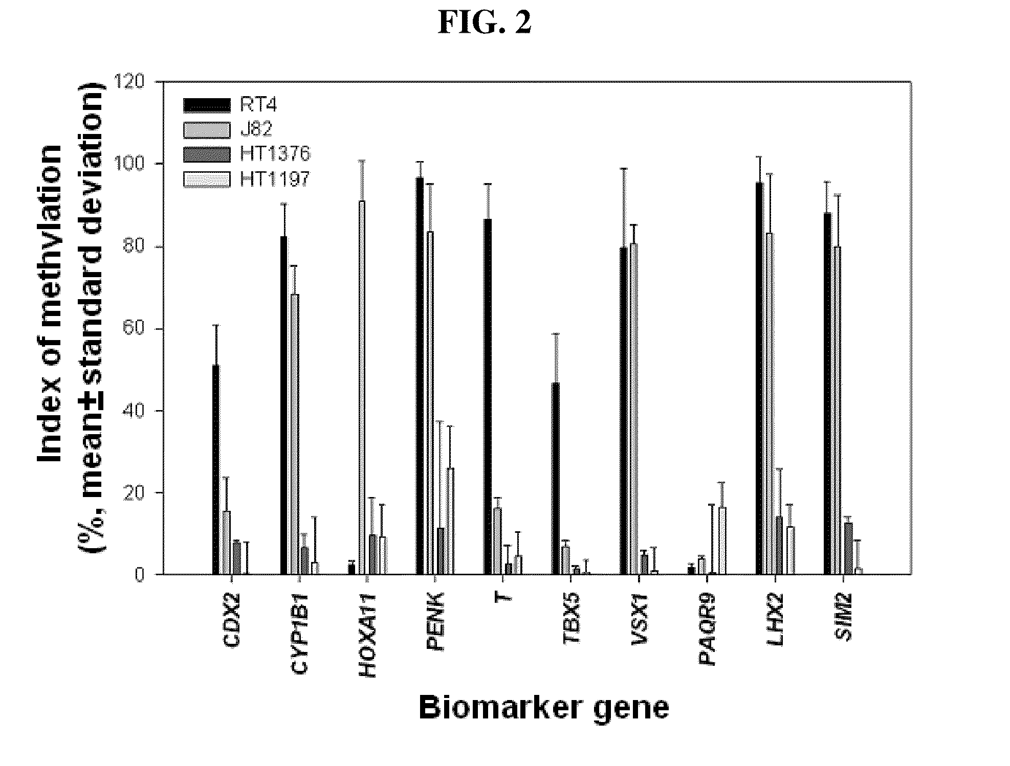 Diagnosis kit and chip for bladder cancer using bladder cancer specific methylation marker gene