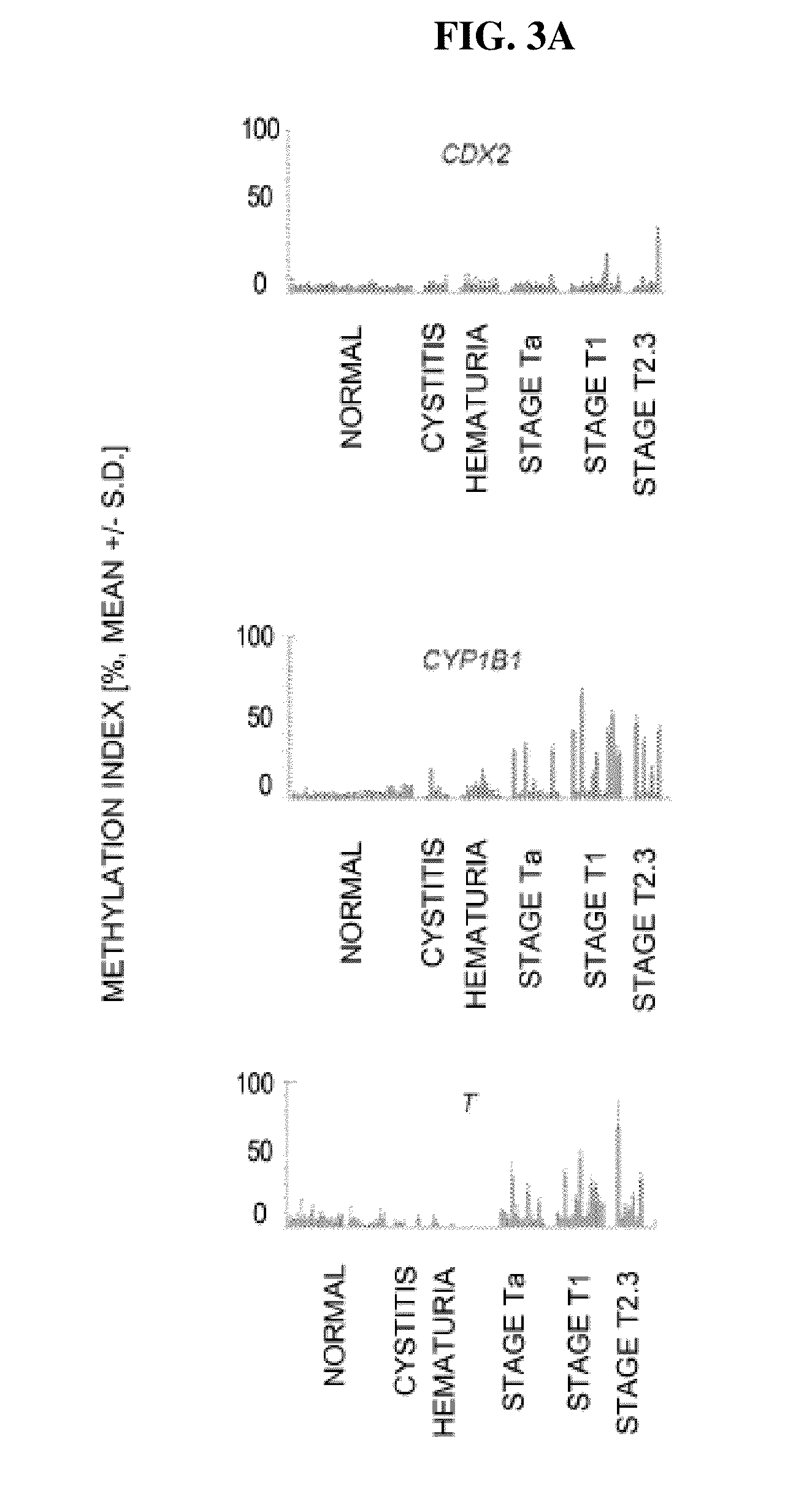 Diagnosis kit and chip for bladder cancer using bladder cancer specific methylation marker gene