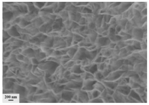 Preparation method of three-dimensional supported cobalt hydroxide and method of using three-dimensional supported cobalt hydroxide for catalytically treating phenol wastewater by persulfate