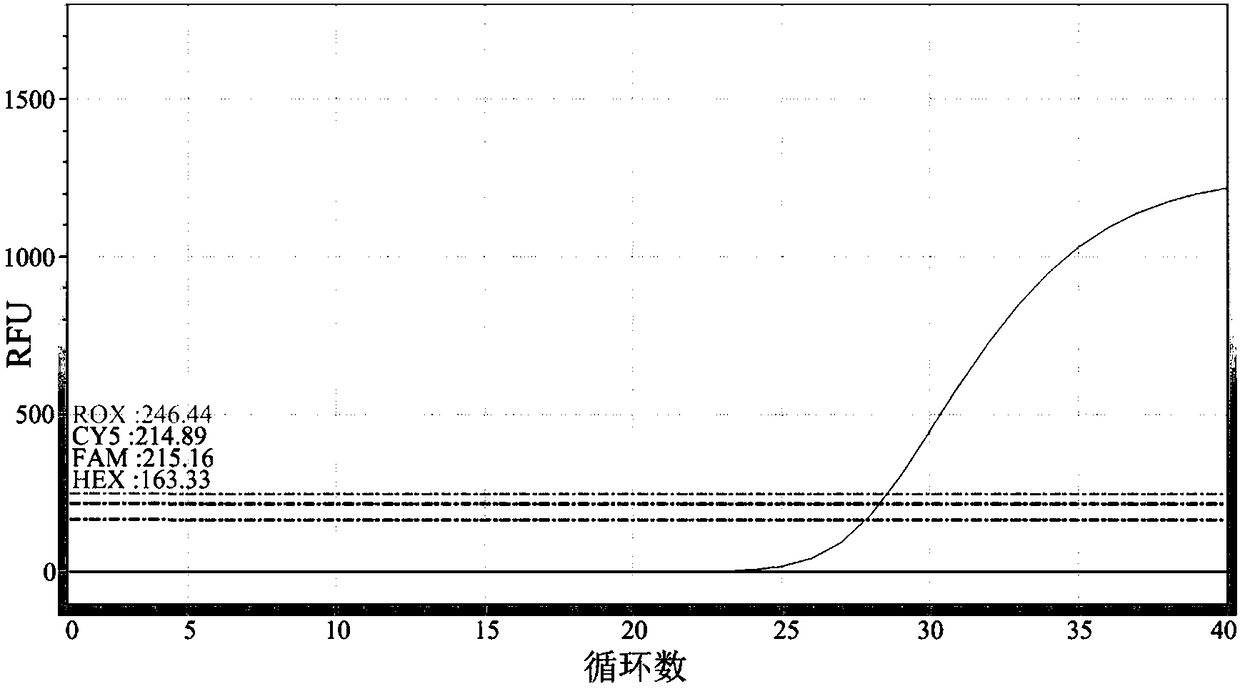 Taqman fluorescence quantitative PCR kit and method for simultaneously detecting eight common sheep viruses and bacteria