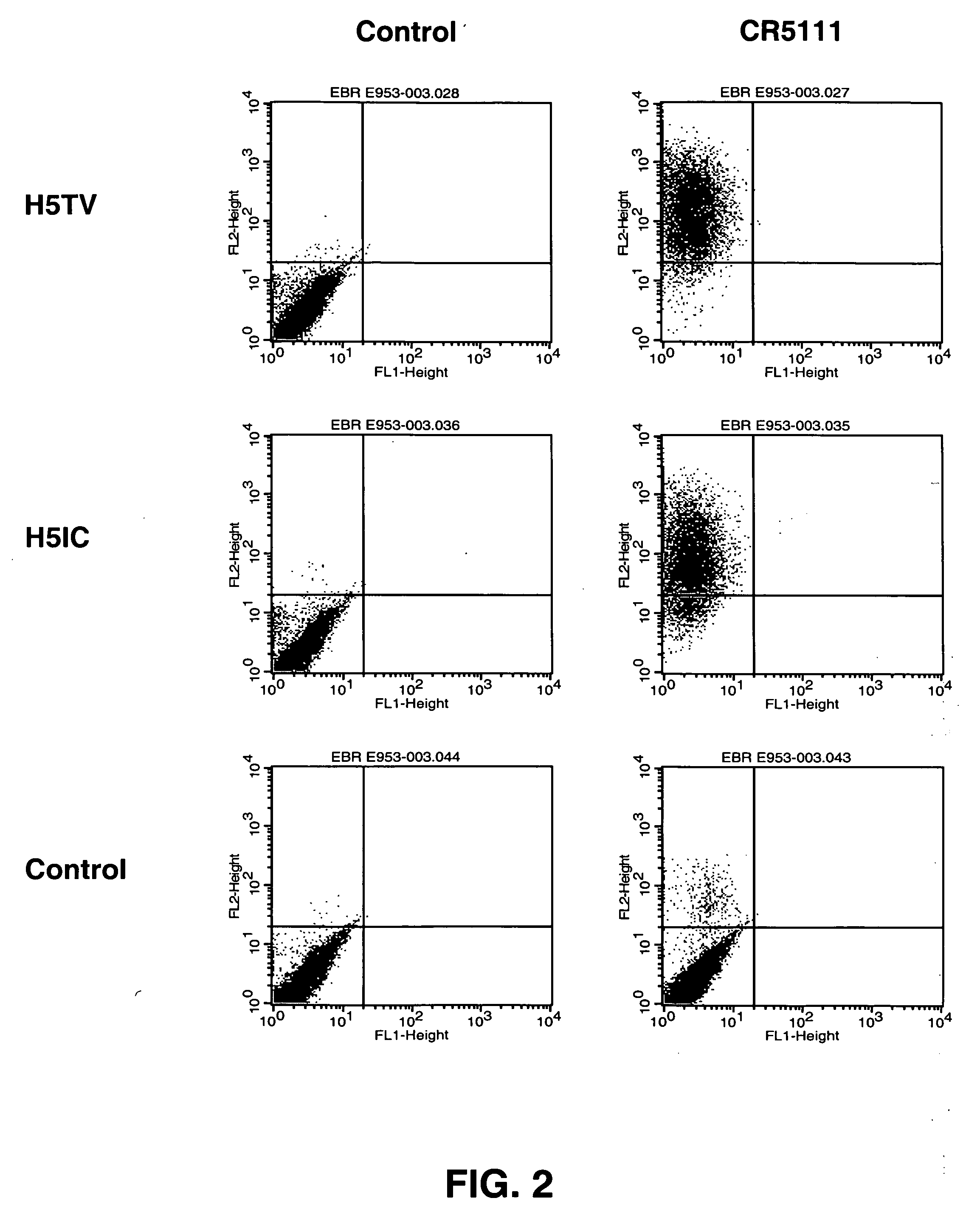 Method for Preparing Immunoglobulin Libraries