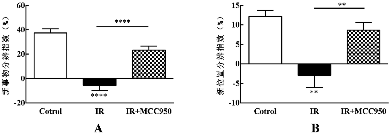 Application of MCC950 or derivative thereof in preparation of drug for preventing or treating cognitive disorder caused by radiation