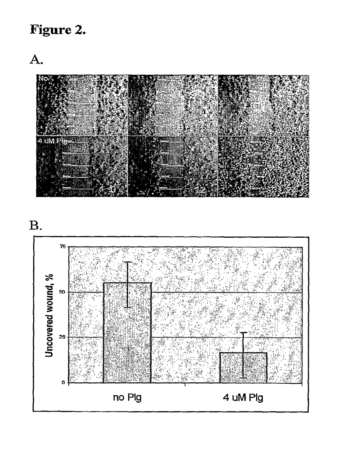 Drug target for preventing and treating periodontal disease, improving healing of periodontal wounds and promoting oral health