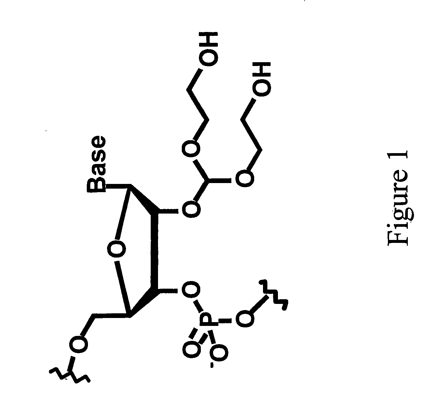 Splint-assisted enzymatic synthesis of polyribounucleotides