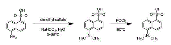 Synthesis method of isotope labeled dansyl chloride-13C2