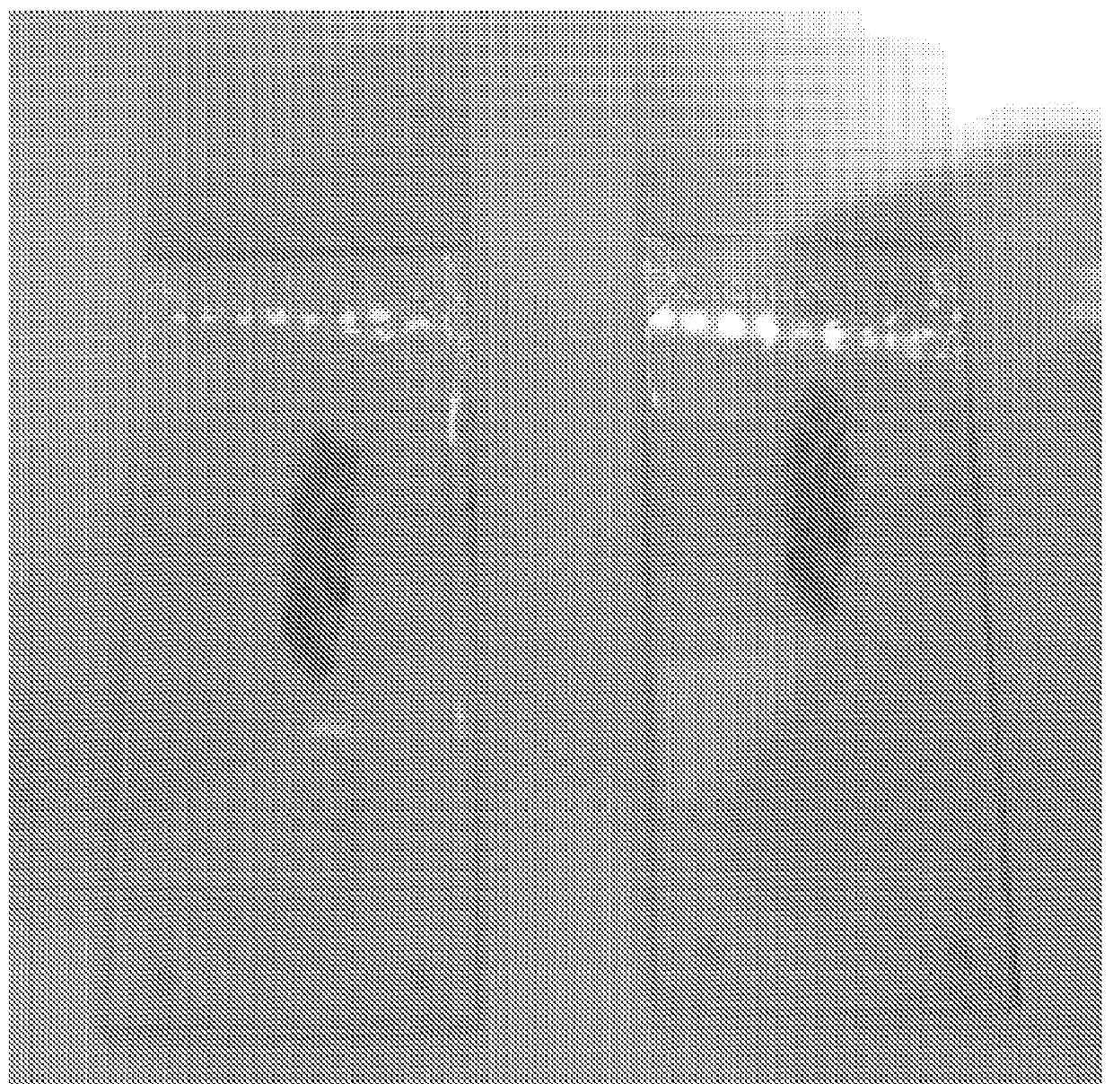 Method for the preparation of biological samples and composition for mounting microscope slides